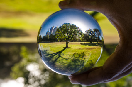 A beautiful tree with its shadow photography in clear crystal glass ball.の写真素材