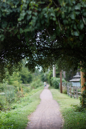 A peaceful forest trail framed by an arch of overhanging trees, with a softly blurred foreground and...