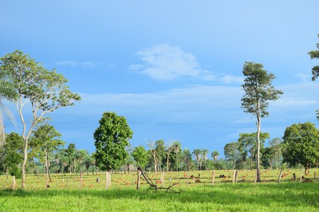 In the farm barnの写真素材