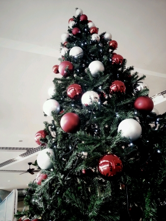 Huge Christmas Tree with red and silver balls decorations の素材