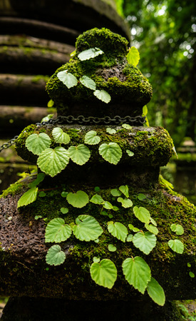moss and some weed are growing on the very old pagoda in rainforest.の写真素材