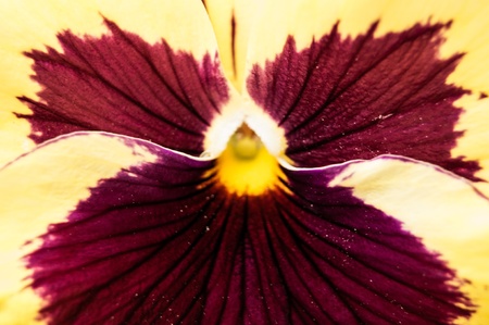 Flowbyの写真素材