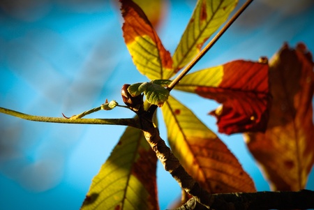 Growingの写真素材