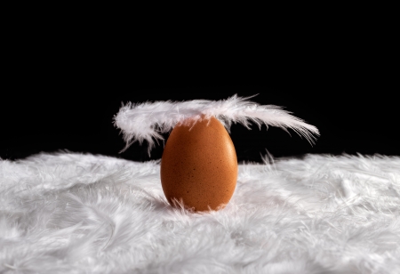 Egg on a feather bed