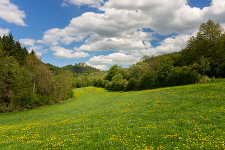 German landscape  castle ruinの写真素材