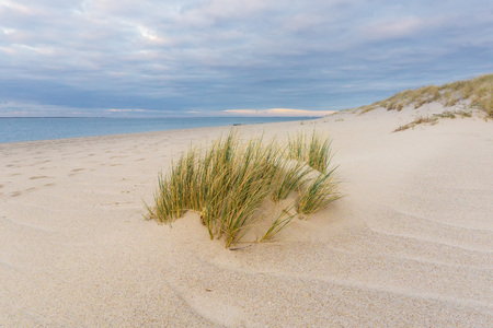 Beach - Syltの写真素材