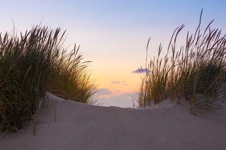 Beach and Grassの写真素材