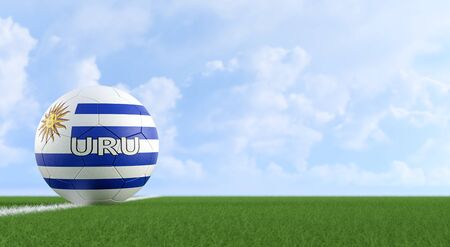 Soccer ball in Uruguay national colors on a soccer field. Copy space on the right side - 3D Renderingの写真素材