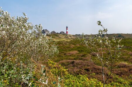 Lighthouse HÃ¶rnum on the island Sylt, Germanyの写真素材