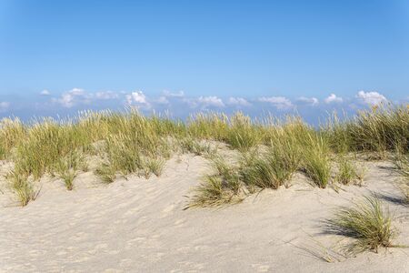 Ocean and Marram Grass on the island Sylt, Germany