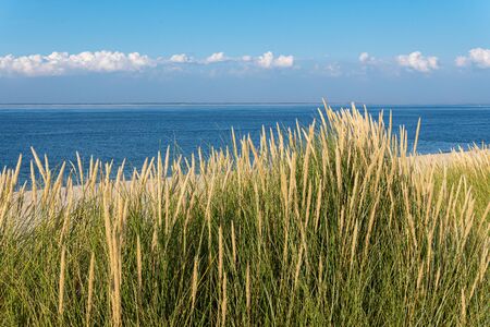 Ocean and Marram Grass on the island Sylt, Germany
