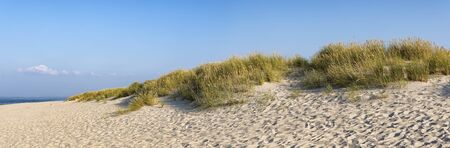 Ocean and Marram Grass on the island Sylt, Germanyの写真素材