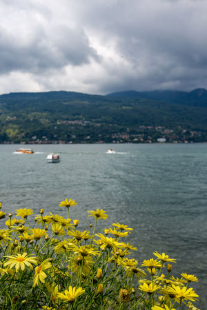 Yellow flowers on Isola Bella on Italian Lago di Maggiore with the beautiful landscape towards the town of Stresa in Northern Italy at springtimeの写真素材