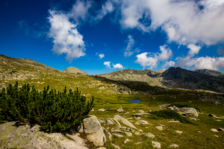 Scenery colorful summer landscape with green bush and huge rock, Pirin Mountain, Bulgariaの写真素材