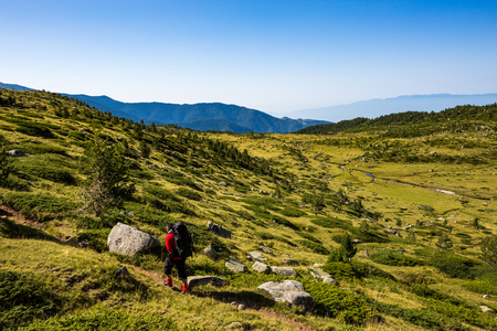 Scenery summer landscape with green meadow and a hiker walking, dressed in black and red clothes, Pirin Mountain, Bulgariaの写真素材