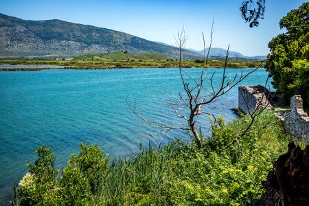 Sunny spring day view of salt lagoon lake, valley and mountain in the national park of Butrint in Albania, Europe. Dead dry tree branch in the foreground.の写真素材