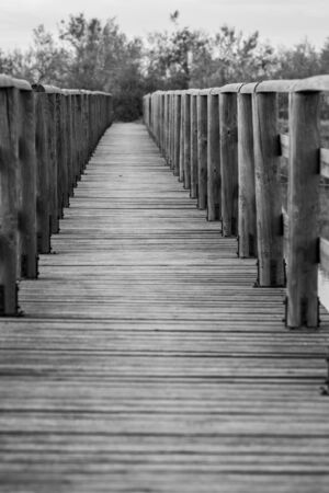 Wooden deck constructed for water transportation and birdwatching at the protected areas of lake Vistonida Porto Lagos. Xanthi region, Northern Greece. Selective shallow focus black and white imageの写真素材