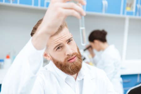 bearded chemist in white coat examining test tube in laboratoryの写真素材
