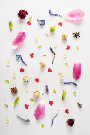 springtime composition with various flowers, anise stars and hearts on whiteの写真素材