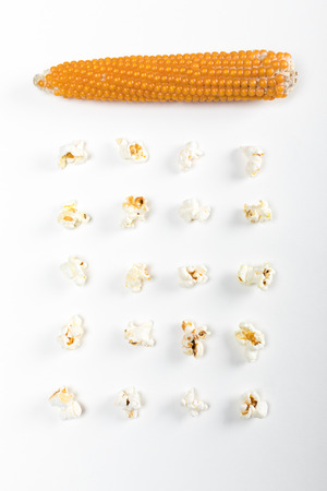 top view of whole corn and popcorn kernelsの写真素材