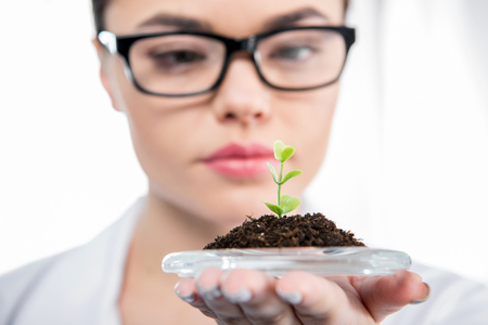 Female scientist with green plantの写真素材
