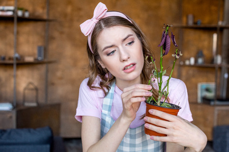woman holding plant in flowerpotの写真素材