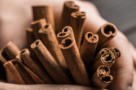 aromatic and spicy cinnamon sticks in handsの写真素材