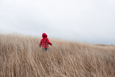 Little boy walking in dry grassの写真素材
