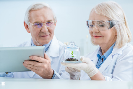 scientists with digital tablet and green plant in soilの写真素材