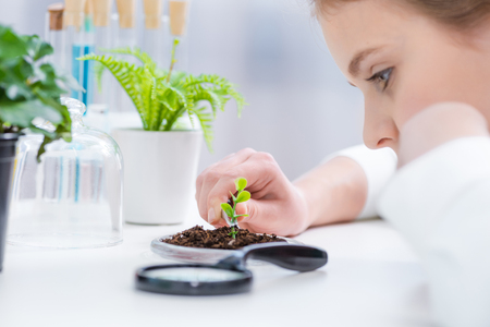 little girl working with green plant in soil at laboratoryの写真素材