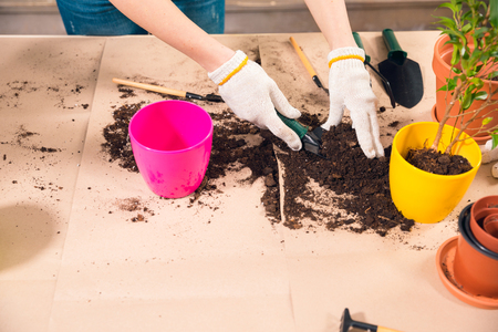 woman with shovel, soil, flowerpots and plant on tableの写真素材