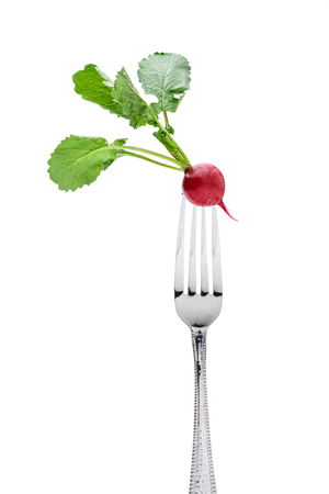 fresh radish on fork isolated on whiteの写真素材