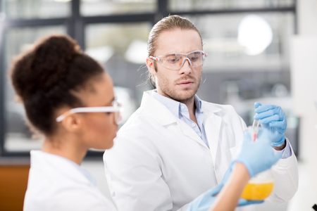 concentrated scientists analyzing test tube in laboratoryの写真素材