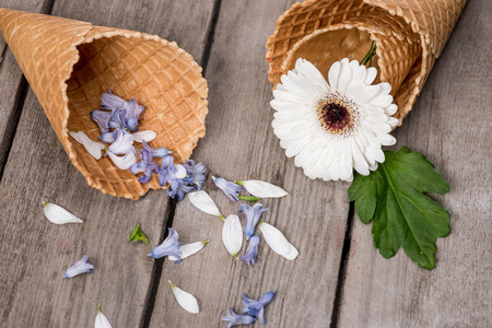 Close-up view of beautiful flower and petals in wafer cones on wooden backgroundの写真素材