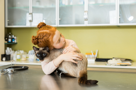 red haired girl embrace her cat at veterinary clinicの写真素材