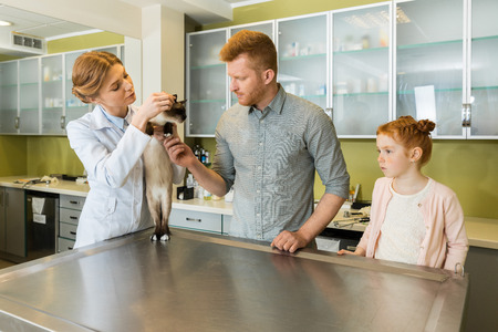 Man and his daughter at veterinary doctor with their pet- checking cat