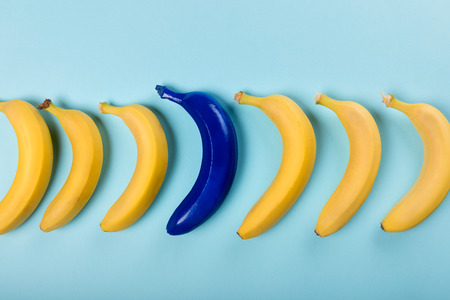 yellow and blue bananas isolated on blue, ripe bananasの写真素材