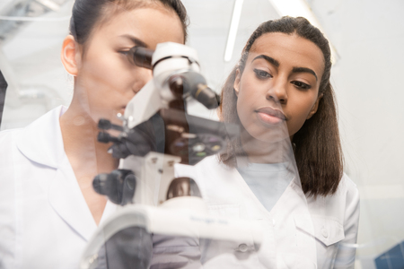 woman scientist looking through microscope with colleague near byの写真素材