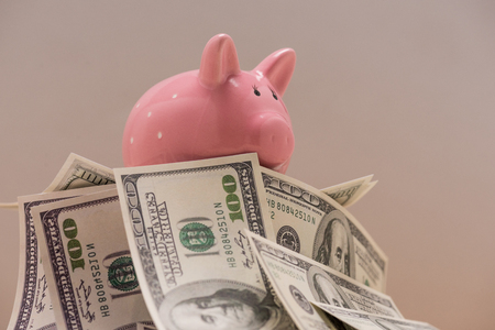 Close-up view of dollar banknotes and piggy bank isolated on grey, piggy bank savings conceptの写真素材