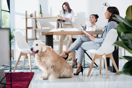 multiethnic women in formal wear working at office with dogの写真素材
