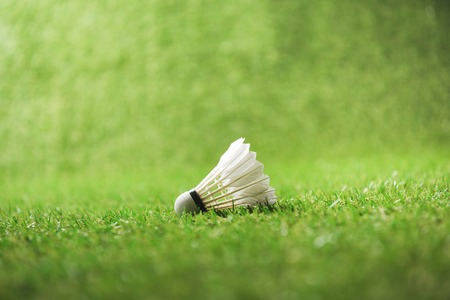 white shuttlecock for badminton on green grassの写真素材