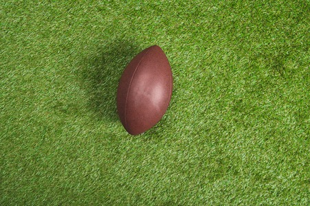 brown leather rugby ball on green grass