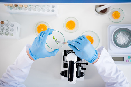 Male scientist during work at modern biological laboratoryの写真素材