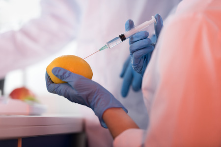 Scientist during work at modern biological laboratoryの写真素材