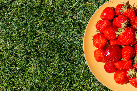 top view of fresh ripe red strawberries on plate on green grassの写真素材
