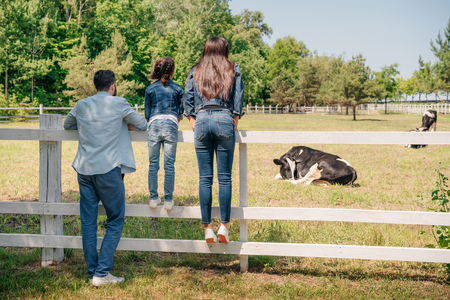 young family standing at wooden fence and looking at cows on pastureの写真素材