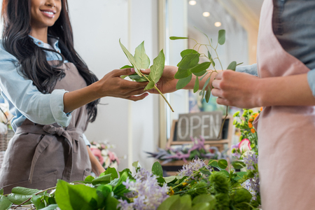 young florists arranging beautiful flowers and green leaves in flower shopの写真素材