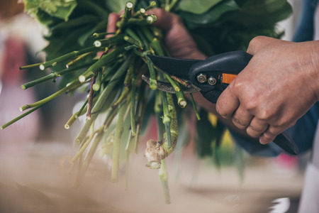 florist cutting flowers with secateurs