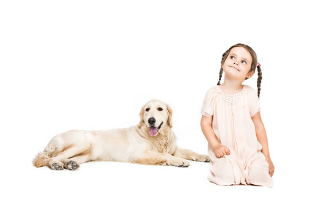 little happy adorable girl with golden retriever dogの写真素材