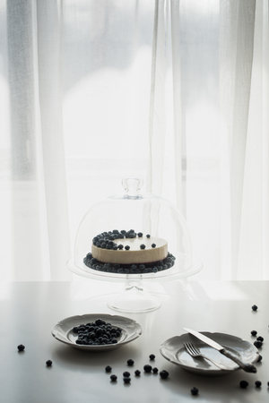 cheesecake with blueberries on glass standの写真素材